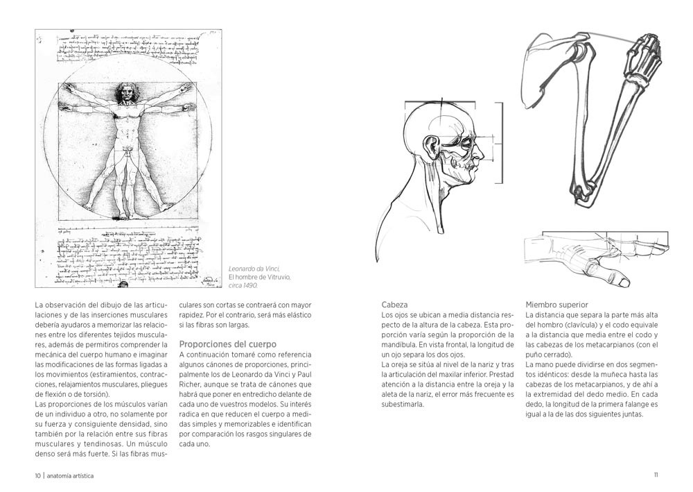 Anatomía artística (spanish)