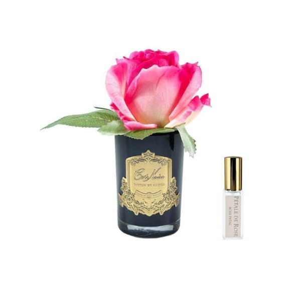 Rosa perfumada Magenta - Vidre daurat i negre