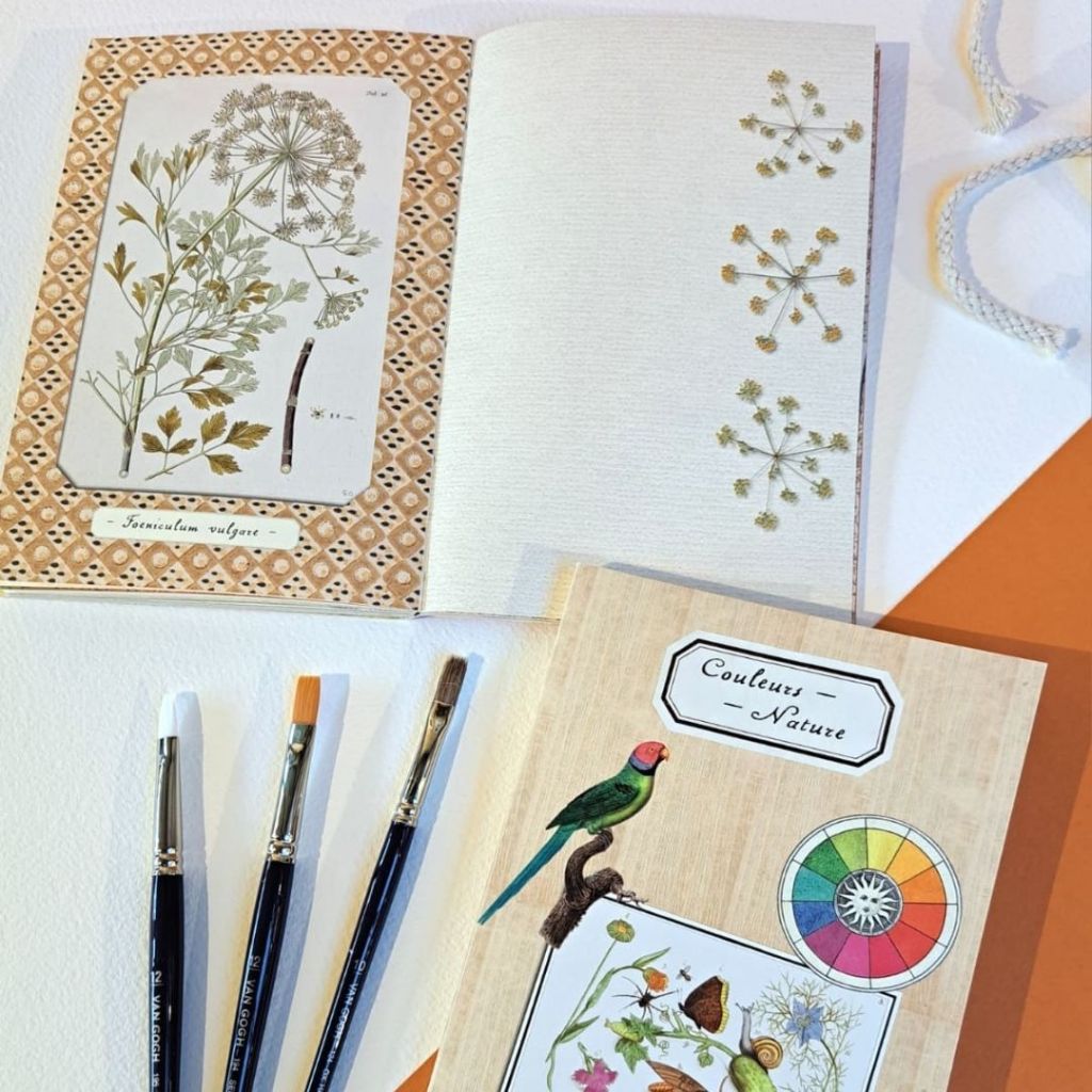 Bodegó d'elaboració pròpia amb llibretes de la nova col·lecció "Alibabette"