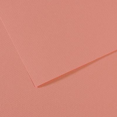 PAPEL CANSON 50 X 65 CM 160g 352 ROSA OSCURO
