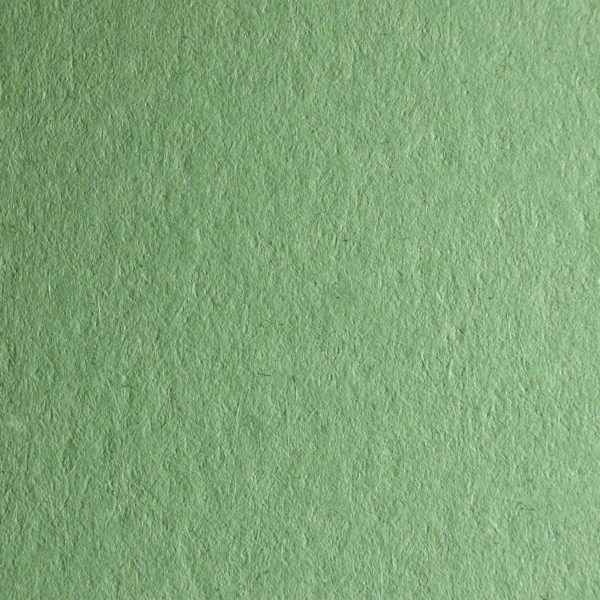 GREEN WOODSTOCK PAPER 70X100 CM 140 GR