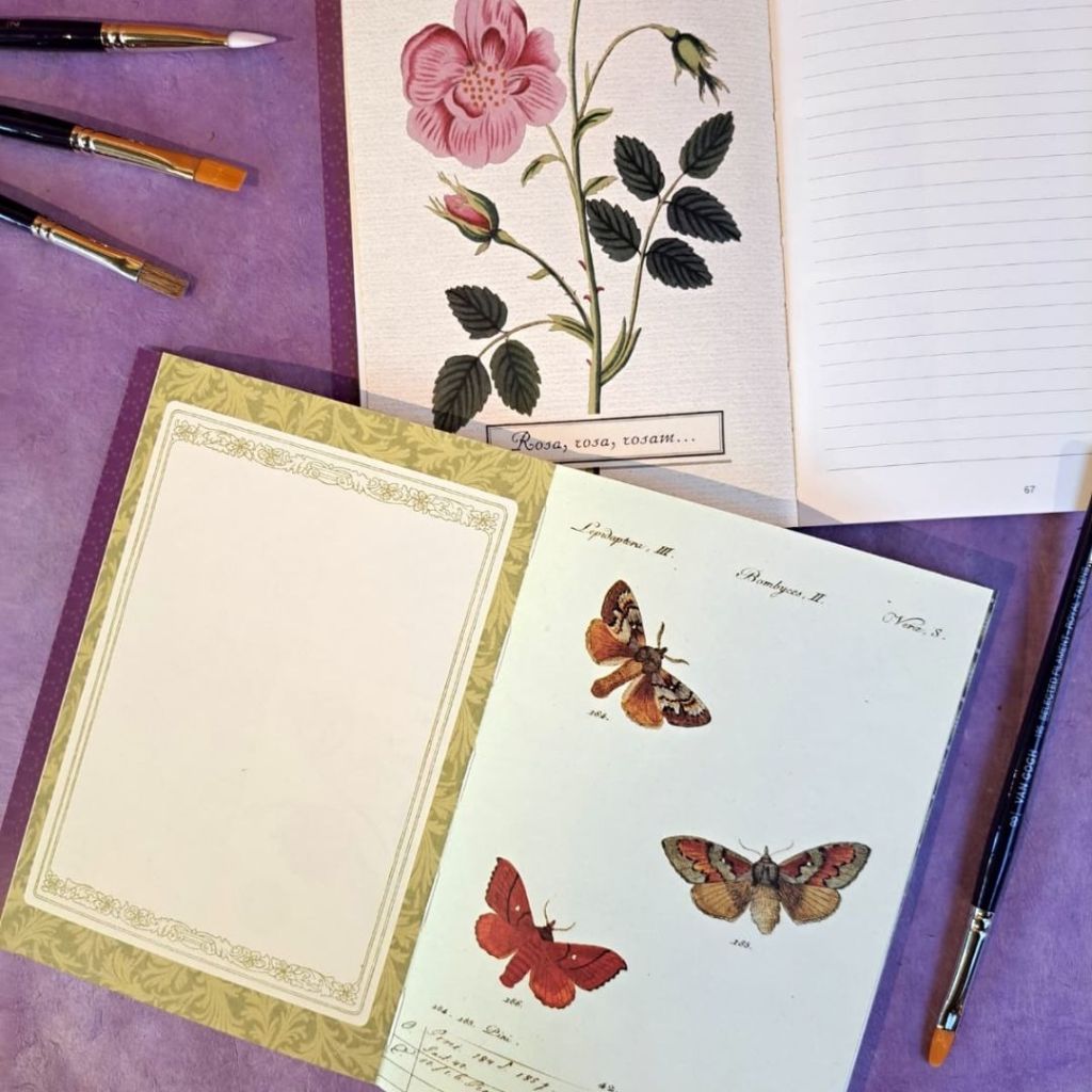 Bodegó d'elaboració pròpia amb llibretes de la nova col·lecció "Alibabette"